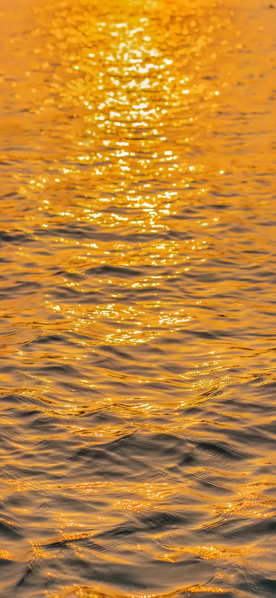 Scenery Wallpaper 32