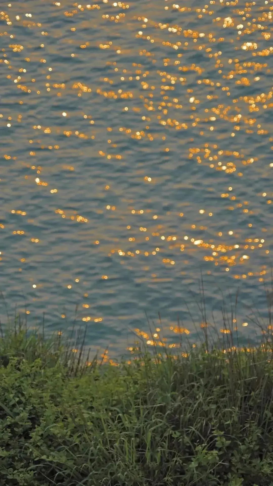 Scenery Wallpaper 35